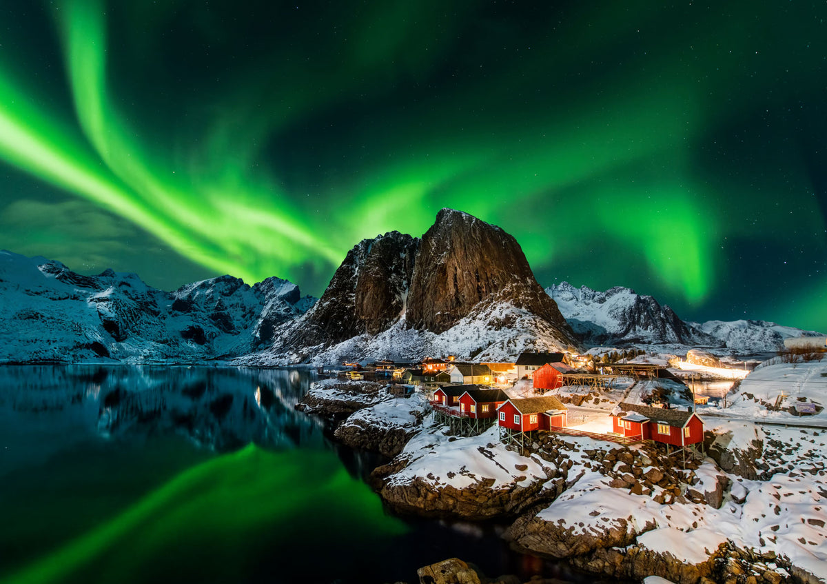 1000 Lofoten Northern Lights AP-41009