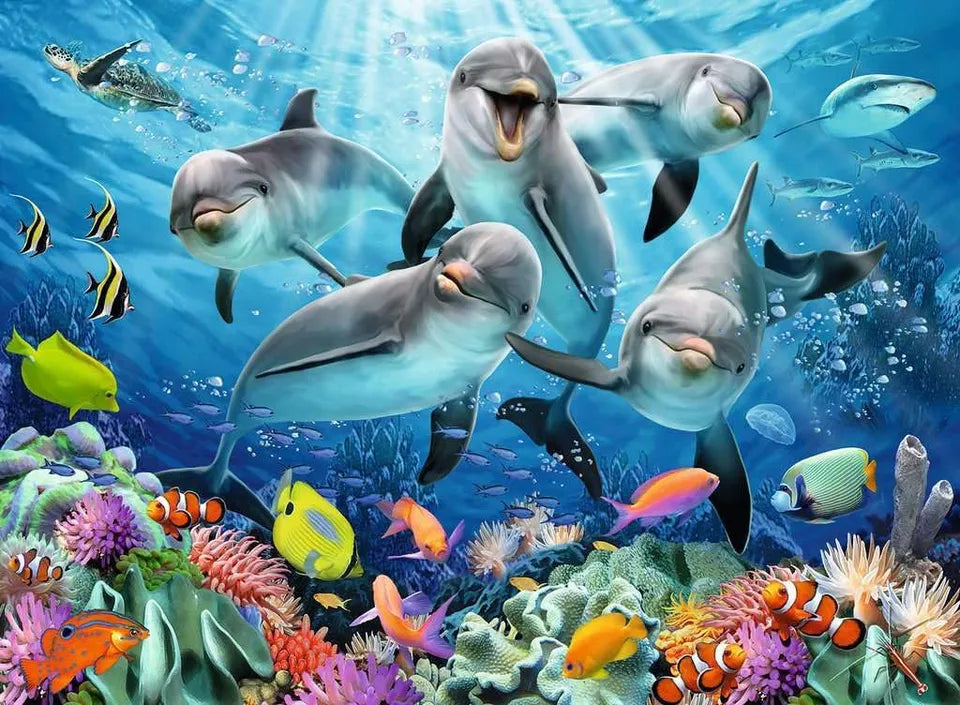 Delfines, Arrecife de colores