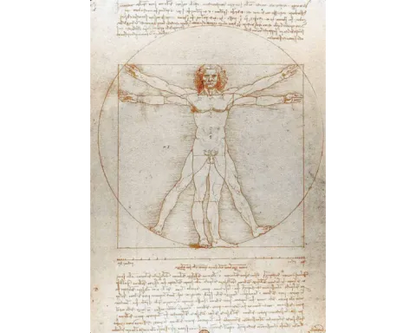 El Hombre en Vituvio / Da Vinci
