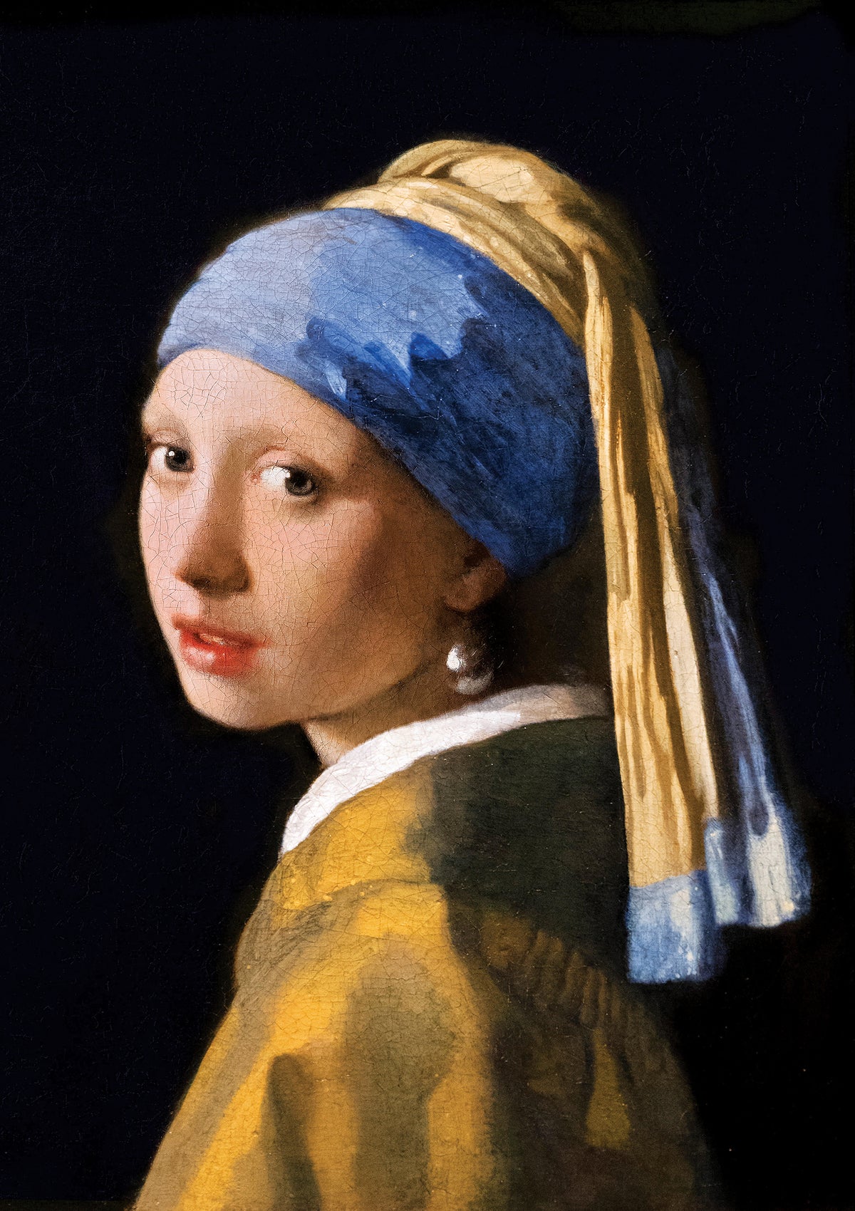 1000 Girl with the Pearl Earring VermeerMuseum Series AP-5242