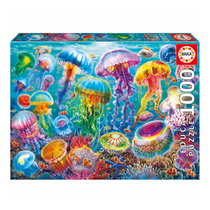MEDUSAS 20554