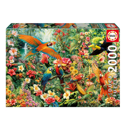AVES DEL AMAZONAS 20574