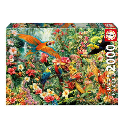 AVES DEL AMAZONAS 20574