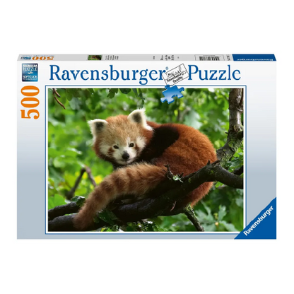 Panda Rojo 3815