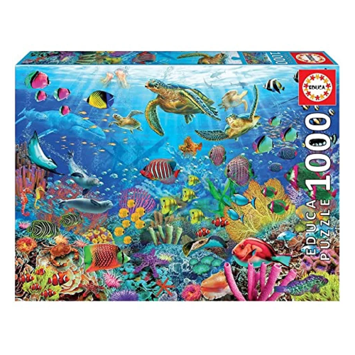 Tortugas de fantasía Tropical