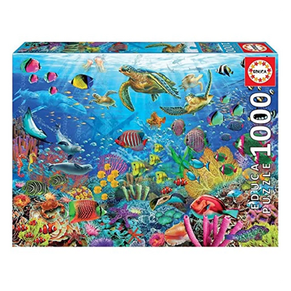 Tortugas de fantasía Tropical