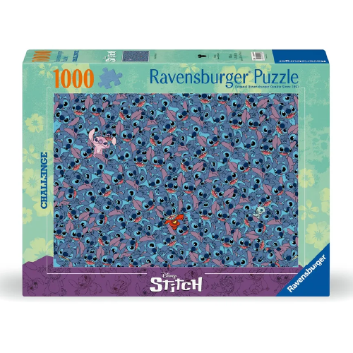 Stitch Challenge 2658