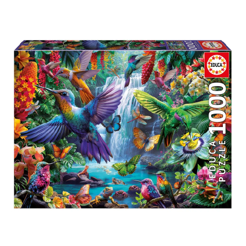 COLIBRIES TROPICALES 20555