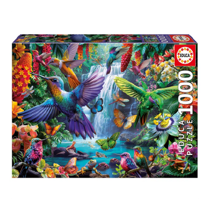 COLIBRIES TROPICALES 20555