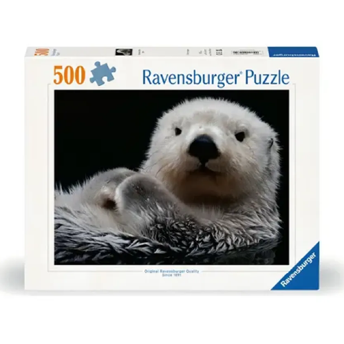 Adorable Nutria 9801