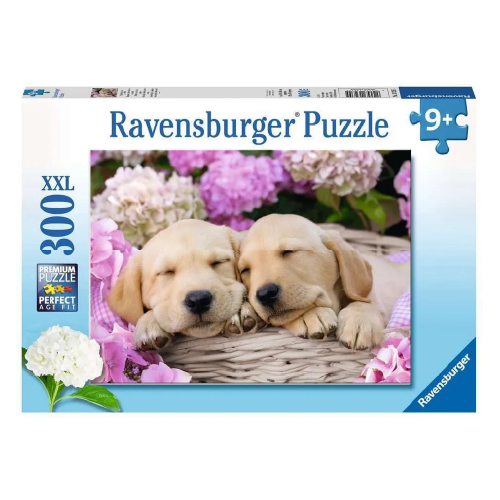 Perritos Durmiendo 13235