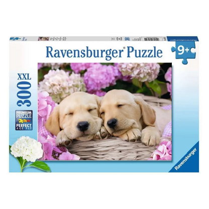 Perritos Durmiendo 13235
