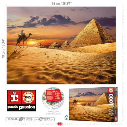 Camello en el Desierto 19643