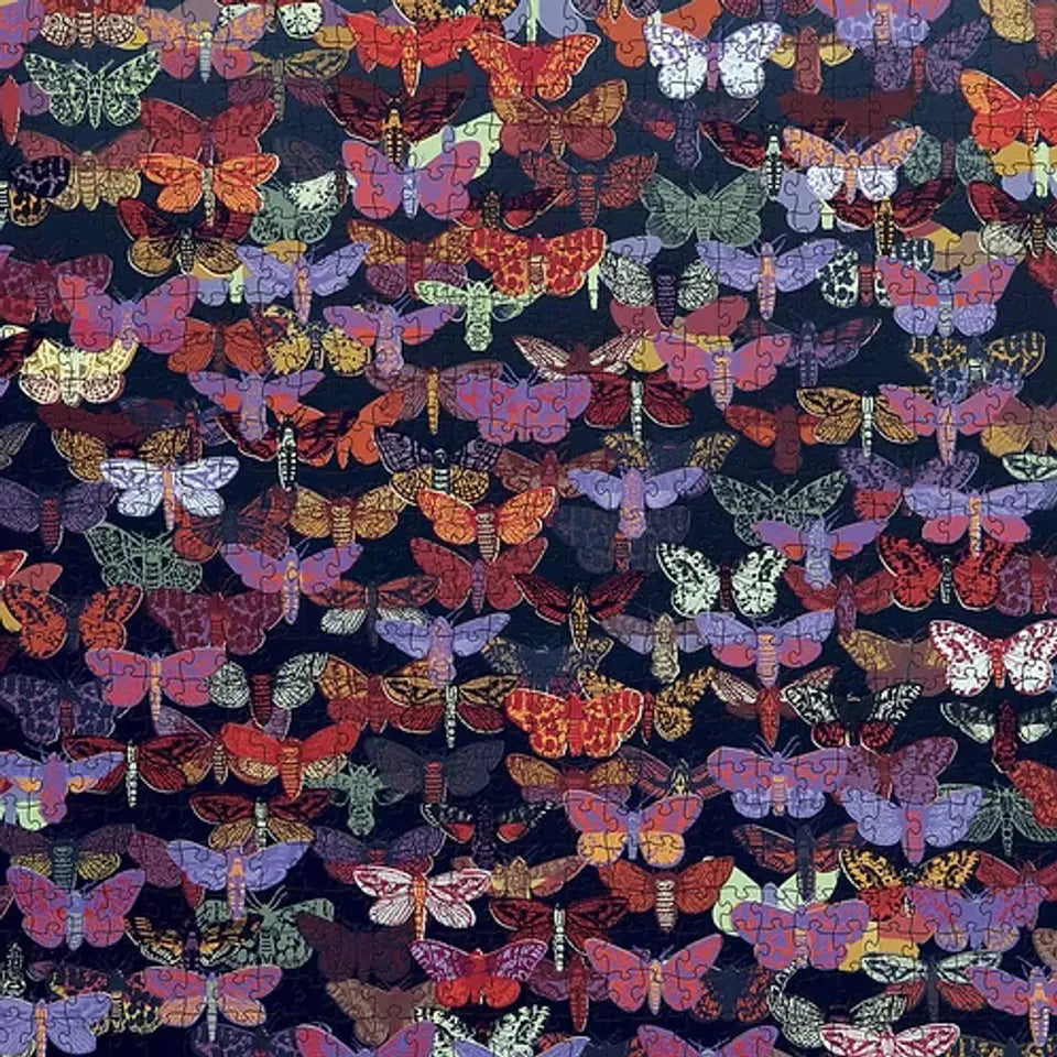 Nigth Flight John Dilnot