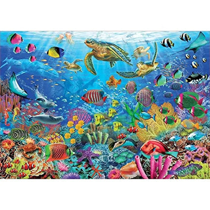 Tortugas de fantasía Tropical