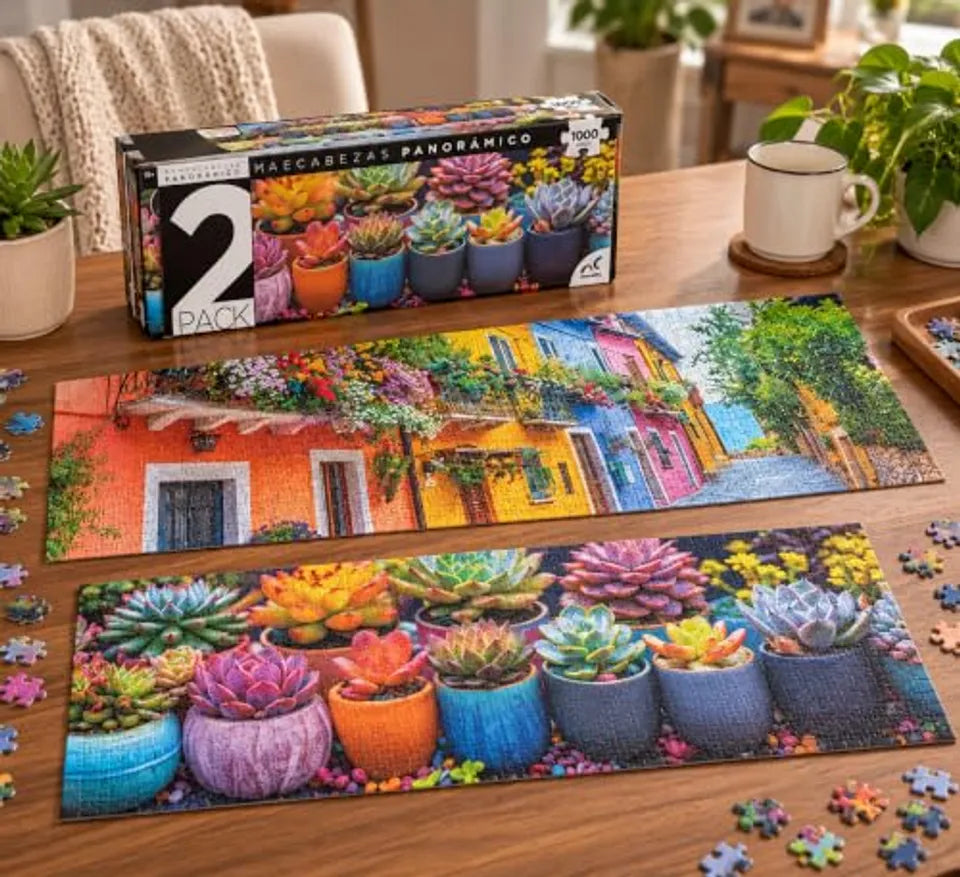 2 Pack Suculentas y Paisaje JCA-5237