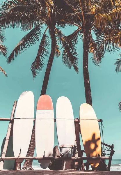 Surfing 3116