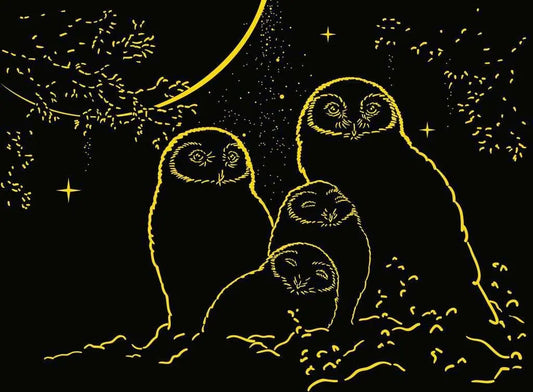 Búhos Brillan en la oscuridad 5957