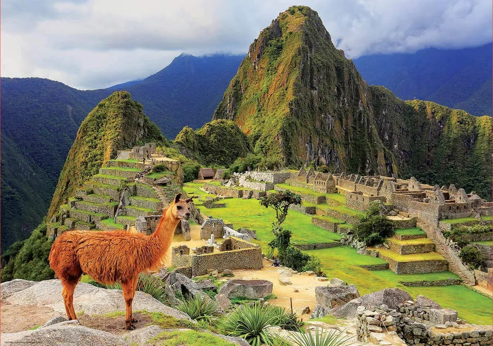 Machu Picchu 17999