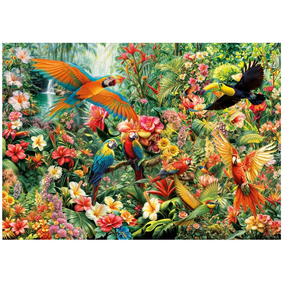 AVES DEL AMAZONAS 20574