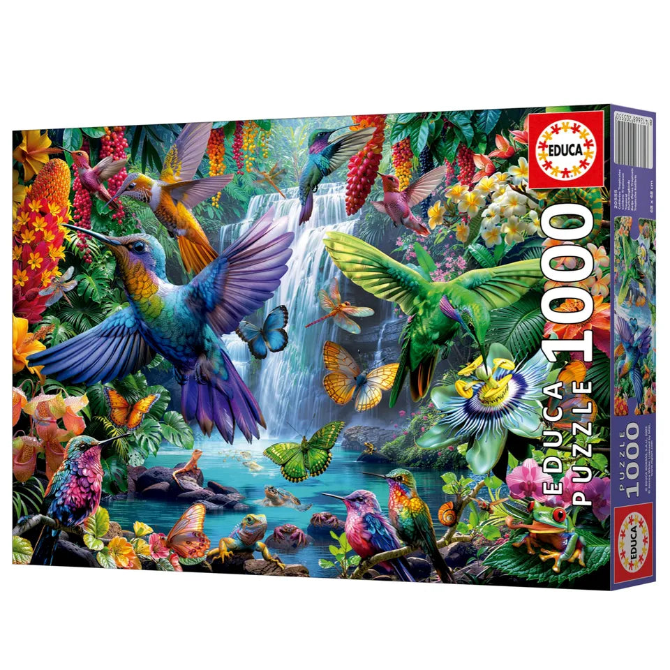 COLIBRIES TROPICALES 20555