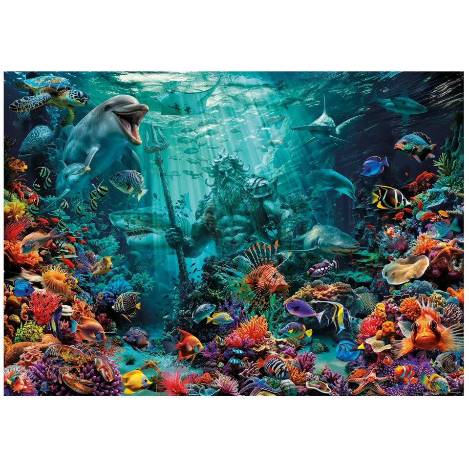 ARRECIFE DE CORAL 20174